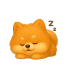 ふわかわ日和：ポメラニアン（個別スタンプ：4）