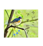 野鳥写真スタンプ2【鳥見の言葉】（個別スタンプ：21）