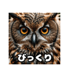 表情豊かな動物スタンプ（個別スタンプ：2）