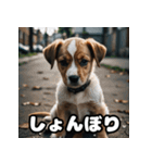 表情豊かな動物スタンプ（個別スタンプ：3）