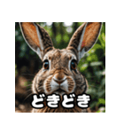 表情豊かな動物スタンプ（個別スタンプ：18）