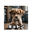 表情豊かな動物スタンプ（個別スタンプ：26）