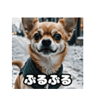 表情豊かな動物スタンプ（個別スタンプ：27）