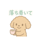 優しい言葉いっぱい❤️トイプーちゃん（個別スタンプ：2）
