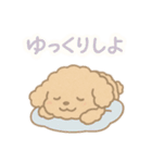 優しい言葉いっぱい❤️トイプーちゃん（個別スタンプ：4）