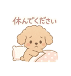 優しい言葉いっぱい❤️トイプーちゃん（個別スタンプ：5）