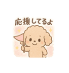 優しい言葉いっぱい❤️トイプーちゃん（個別スタンプ：11）