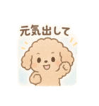 優しい言葉いっぱい❤️トイプーちゃん（個別スタンプ：12）