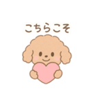 優しい言葉いっぱい❤️トイプーちゃん（個別スタンプ：13）
