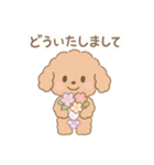 優しい言葉いっぱい❤️トイプーちゃん（個別スタンプ：14）