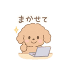 優しい言葉いっぱい❤️トイプーちゃん（個別スタンプ：15）
