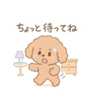 優しい言葉いっぱい❤️トイプーちゃん（個別スタンプ：16）