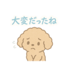 優しい言葉いっぱい❤️トイプーちゃん（個別スタンプ：19）