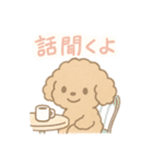 優しい言葉いっぱい❤️トイプーちゃん（個別スタンプ：22）