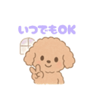 優しい言葉いっぱい❤️トイプーちゃん（個別スタンプ：23）