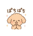 優しい言葉いっぱい❤️トイプーちゃん（個別スタンプ：26）