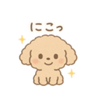 優しい言葉いっぱい❤️トイプーちゃん（個別スタンプ：29）