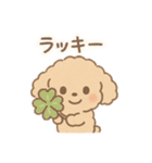 優しい言葉いっぱい❤️トイプーちゃん（個別スタンプ：31）