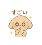 優しい言葉いっぱい❤️トイプーちゃん（個別スタンプ：32）
