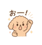 優しい言葉いっぱい❤️トイプーちゃん（個別スタンプ：36）