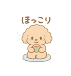 優しい言葉いっぱい❤️トイプーちゃん（個別スタンプ：37）