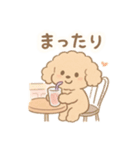 優しい言葉いっぱい❤️トイプーちゃん（個別スタンプ：38）