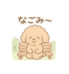 優しい言葉いっぱい❤️トイプーちゃん（個別スタンプ：39）