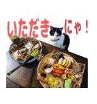 ねこのくちん Vol.1HD（個別スタンプ：5）