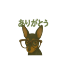 ミニピンヤッホー（個別スタンプ：7）