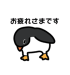 3種類のペンギン（個別スタンプ：5）