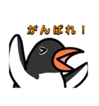 3種類のペンギン（個別スタンプ：7）