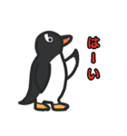 3種類のペンギン（個別スタンプ：9）