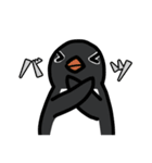 3種類のペンギン（個別スタンプ：11）