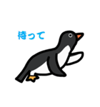 3種類のペンギン（個別スタンプ：14）