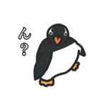 3種類のペンギン（個別スタンプ：15）