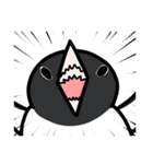 3種類のペンギン（個別スタンプ：19）