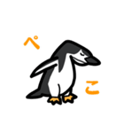 3種類のペンギン（個別スタンプ：20）