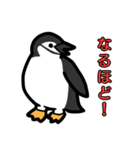 3種類のペンギン（個別スタンプ：22）