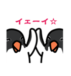 3種類のペンギン（個別スタンプ：29）