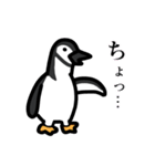 3種類のペンギン（個別スタンプ：30）