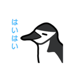 3種類のペンギン（個別スタンプ：34）