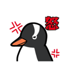 3種類のペンギン（個別スタンプ：38）