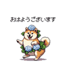 太っちょ柴犬の梅雨と初夏（個別スタンプ：5）