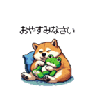 太っちょ柴犬の梅雨と初夏（個別スタンプ：6）