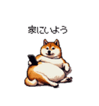 太っちょ柴犬の梅雨と初夏（個別スタンプ：10）
