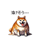 太っちょ柴犬の梅雨と初夏（個別スタンプ：14）