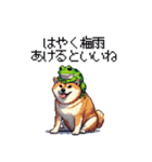 太っちょ柴犬の梅雨と初夏（個別スタンプ：22）