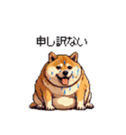 太っちょ柴犬の梅雨と初夏（個別スタンプ：27）