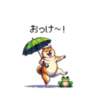 太っちょ柴犬の梅雨と初夏（個別スタンプ：29）