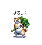 太っちょ柴犬の梅雨と初夏（個別スタンプ：34）